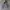 2000's Heavyweight Hoodie Gray Boxy