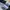 511 LONG PANTS DENIM DARK BLUE  photo 7