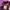 Stussy crown purple photo 6