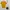 #Yellow Lemon #Cardigan #HumanWonan Very Good