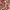Floral Dress V-neck Pink Flowers photo 2
