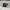 Obey Grey color photo 3