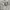 Stussy basic Grey photo 2