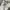Stussy basic Grey photo 4