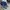 Nike Mavrk 2 Low Rare Size 41-42 Suede photo 1