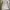 antique lace embroidered day dress photo 1