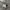 Nike Swoosh 90s  photo 2