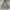 Polo Ralph Lauren Vintage Luxury Hoody Pria gray photo 1