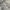 Polo Ralph Lauren Vintage Luxury Hoody Pria gray photo 2