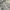 Polo Ralph Lauren Vintage Luxury Hoody Pria Gray