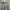 Authentic Needles Japan Stripe Button Up Shirt photo 3