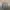 Authentic Needles Japan Stripe Button Up Shirt photo 1