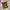 Carhartt Collins Neck Pouch photo 6