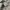 Beams plus mens polo shirt photo 6