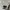 Beams plus mens polo shirt photo 4