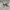 Beams plus mens polo shirt photo 3