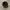 Unbrand Newsboy Gentleman Black Cap photo 5