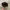 Unbrand Newsboy Gentleman Black Cap photo 2