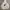 Bape sta camoflage hoodie photo 2