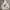Bape Sta Camoflage Hoodie