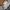 National Geographic Luxury Casual Sweater Pria gray photo 7