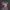 KAOS MARVEL CAPTEN AMERICA 90S photo 2