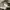 Nike ACG nylon printed board short photo 7