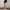 Minimalproject balloon pant photo 2
