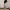 Minimalproject Balloon Pant