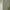 Uniqlo Vintage Streetwear Casual pants Pria green photo 7