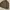 Buzz ricksons united car n1 deck jacket photo 2