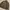Buzz Ricksons United Car N1 Deck Jacket
