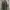 Big John Indie Casual Parka Pria Green Khaki