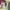 New Balance Sportswear Casual Sweater Pria multicolor photo 3