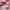 Anna Sui Sportswear Windbreaker Wanita pink photo 7