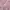 Anna Sui Sportswear Windbreaker Wanita pink photo 5