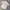 Kemeja Pria Thomas Smith London - Size XXL photo 1