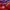 Kashima Antlers 1993-1994 Home Football Soccer Shorts Mizuno photo 6