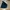Fila Sportswear Casual Sweater Pria Black