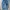 B13-DST vintage carpenter carhartt  photo 1