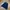 Fila Sportswear Casual Sweater Pria Navy