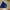 Fila Sportswear Casual Sweater Pria navy photo 2