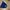 Fila Sportswear Casual Sweater Pria Navy