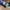 Biker Casual Jeans Pria navy photo 2