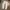 Balmain Biker Casual Jeans Pria multicolor photo 2