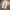 Balmain Biker Casual Jeans Pria multicolor photo 1