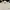 NATIONAL GEOGRAPHIC - Crewneck sleeve poket crem photo 7