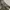 Celana pendek Short Pants Cargo Camo Army  photo 5