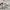 ADIDAS CAMPUS 00s photo 4