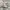 ADIDAS CAMPUS 00s photo 1